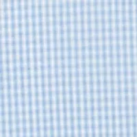 Big & Tall Gingham Button Down Shirt