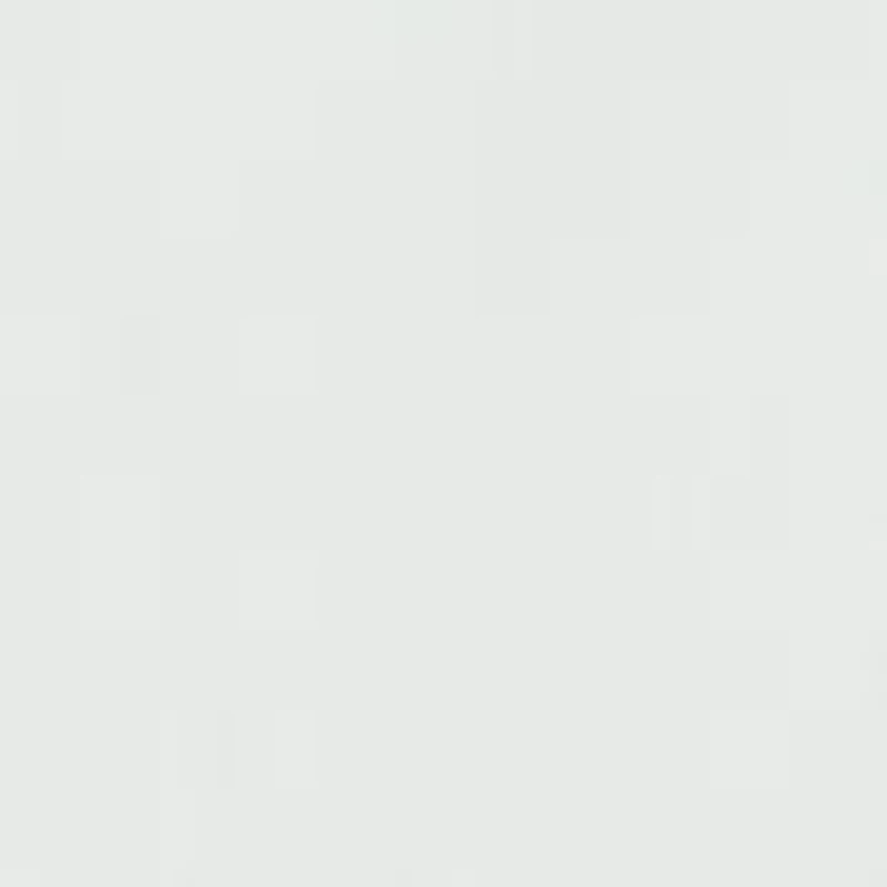 Big & Tall Solid Button Down Shirt