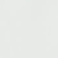 Big & Tall Solid Button Down Shirt