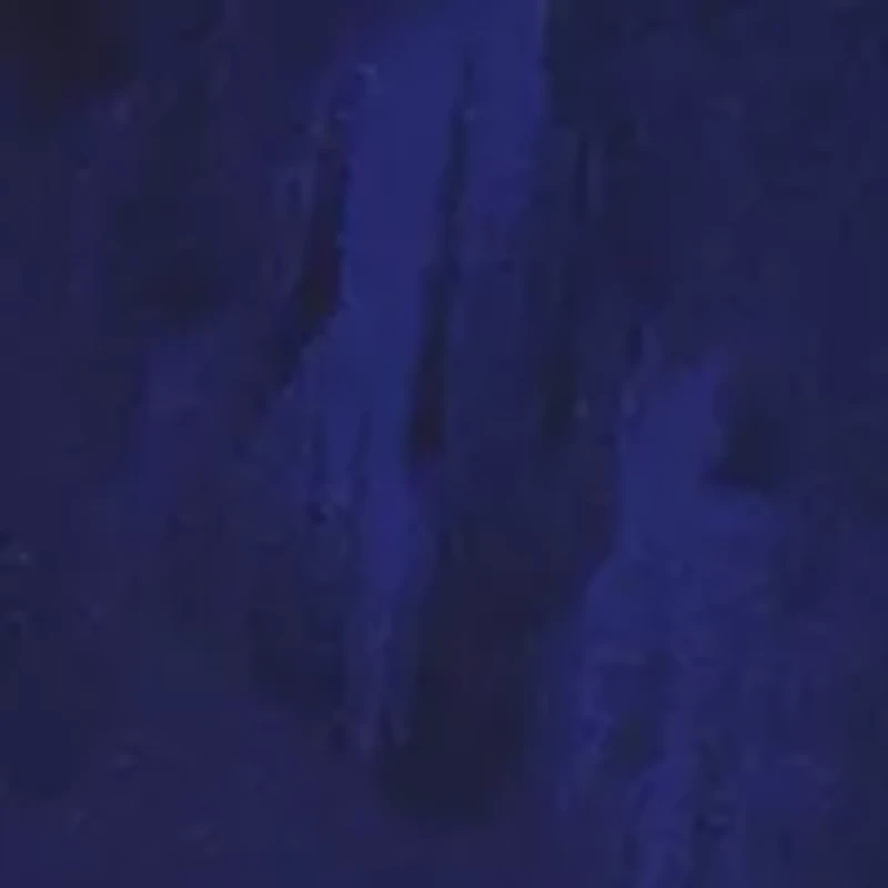 Performance Tech 6'' Boxer Briefs