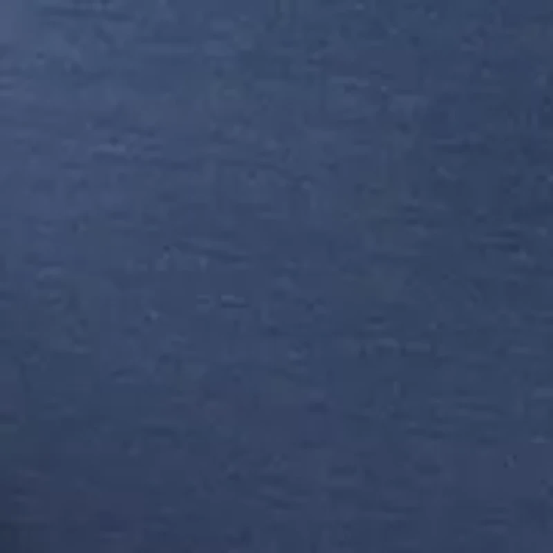 Men's Flat Front Shorts