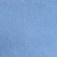 7" Flat Front Shorts