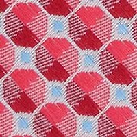 Mini Neats Print Tie