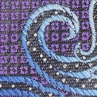Evanns Paisley Tie