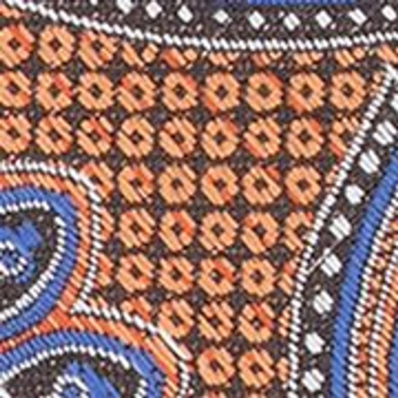 Abenson Paisley Tie