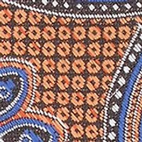 Abenson Paisley Tie