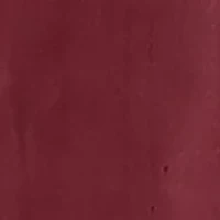 Mens Guayabera Short Sleeve Button-Down Shirt