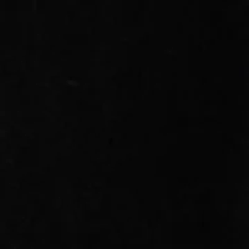 Men's Embroidered Logo Graphic T-Shirt