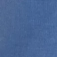 Big & Tall Corduroy 5 Pocket Pants