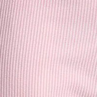 Striped Seersucker Shorts