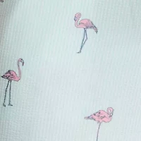 Flamingo Swim Trunks