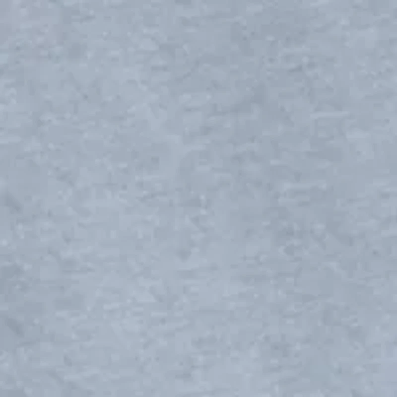 Long Sleeve Lake Day Graphic T-Shirt