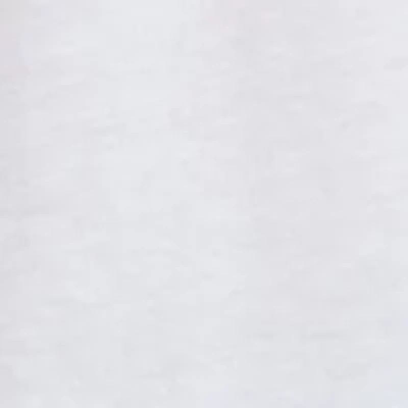 Winter Lab Long Sleeve Graphic T-Shirt