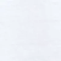 Big & Tall Long Sleeve Winter Lab Graphic T-Shirt