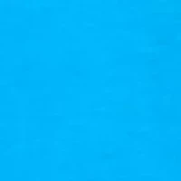 Big & Tall Short Boat Graphic T-Shirt