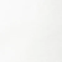 Big & Tall Long Sleeve Ski Dog Shirt