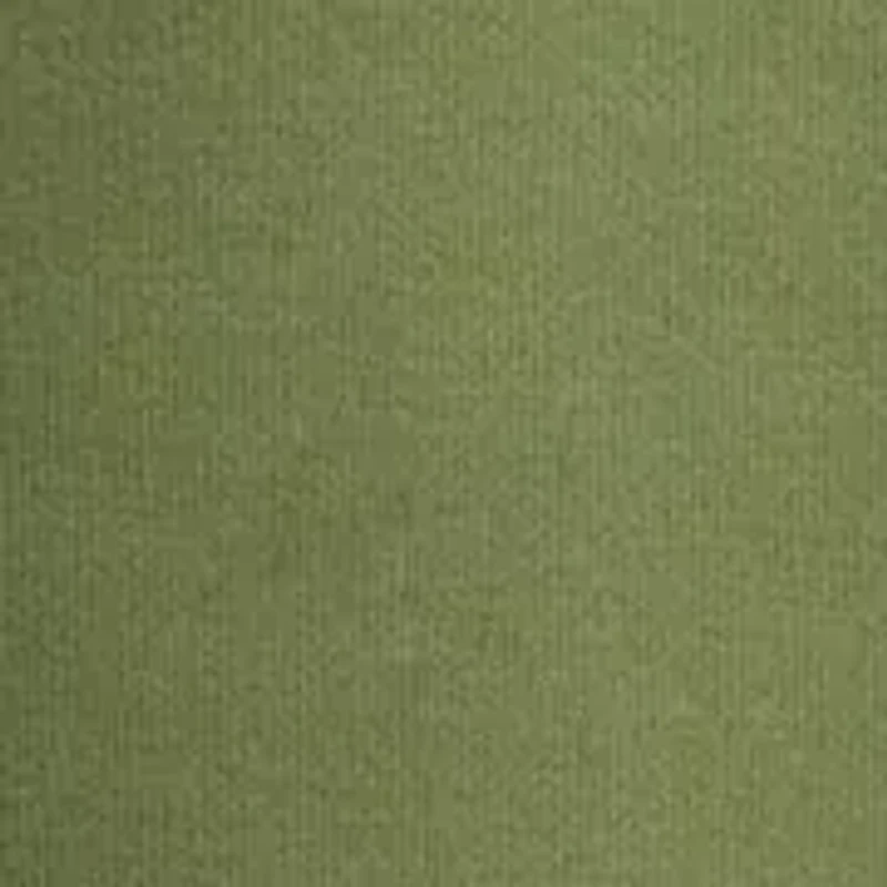 Big & Tall Linear Dog Graphic Hoodie