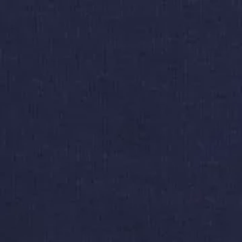 Big & Tall Linear Dog Graphic Hoodie