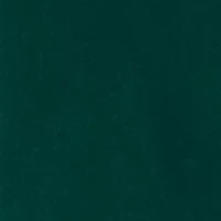 Big & Tall Graphic Long Sleeve Ski Lodge T-Shirt