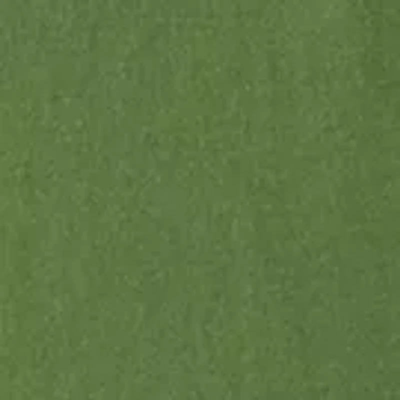 Big & Tall Graphic Short Sleeve Duck Lake T-Shirt