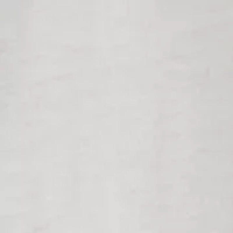 Big & Tall Graphic Short Sleeve Silhouette Dog T-Shirt