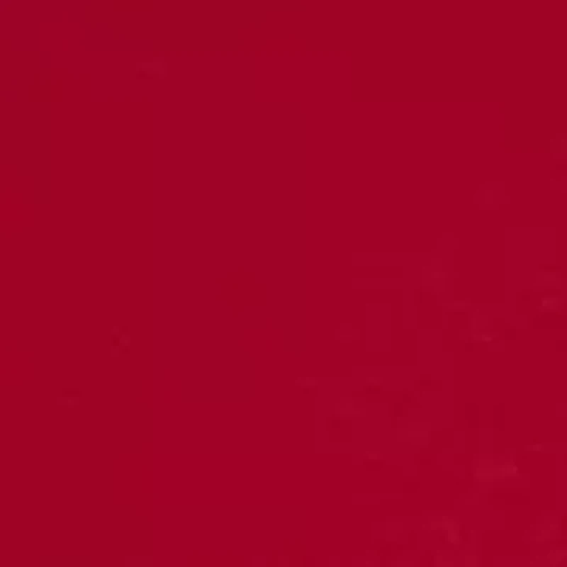 Big & Tall Lakeside Solid Polo Shirt