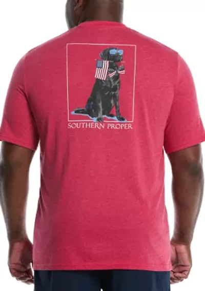 Big & Tall Short Sleeve Patriotic Dog Graphic T-Shirt