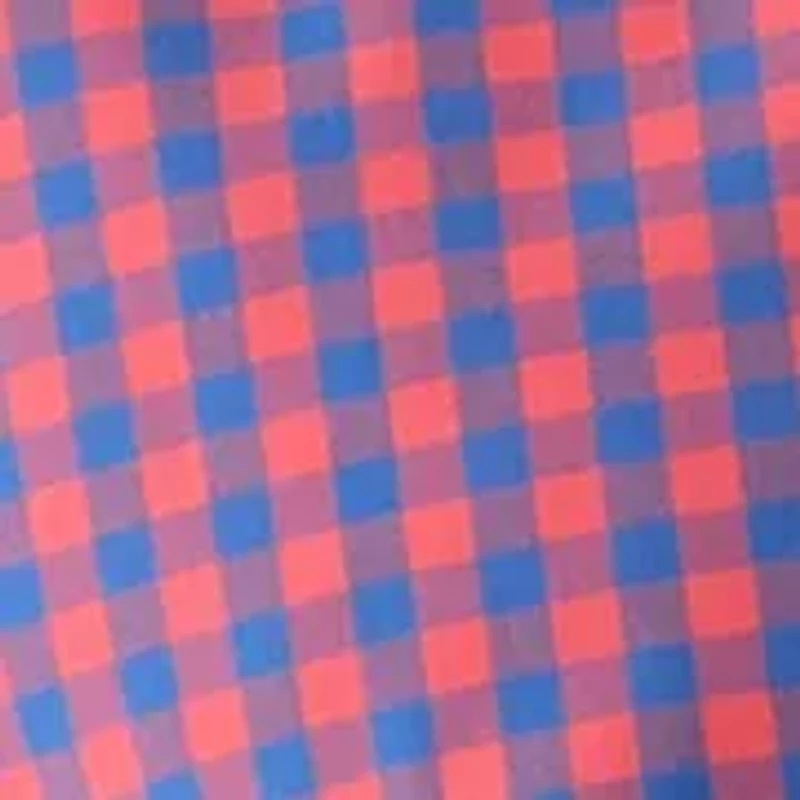 Big & Tall Long Sleeve Gingham Plaid Shirt