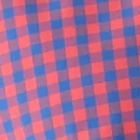 Big & Tall Long Sleeve Gingham Plaid Shirt