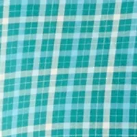 Big & Tall Long Sleeve Plaid Shirt