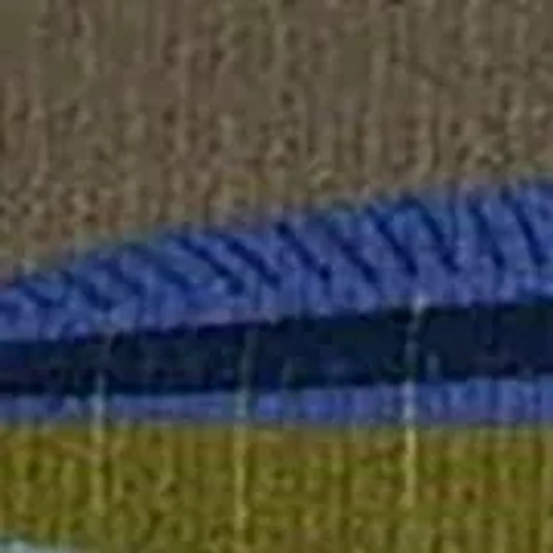 Fish Embroidered Belt