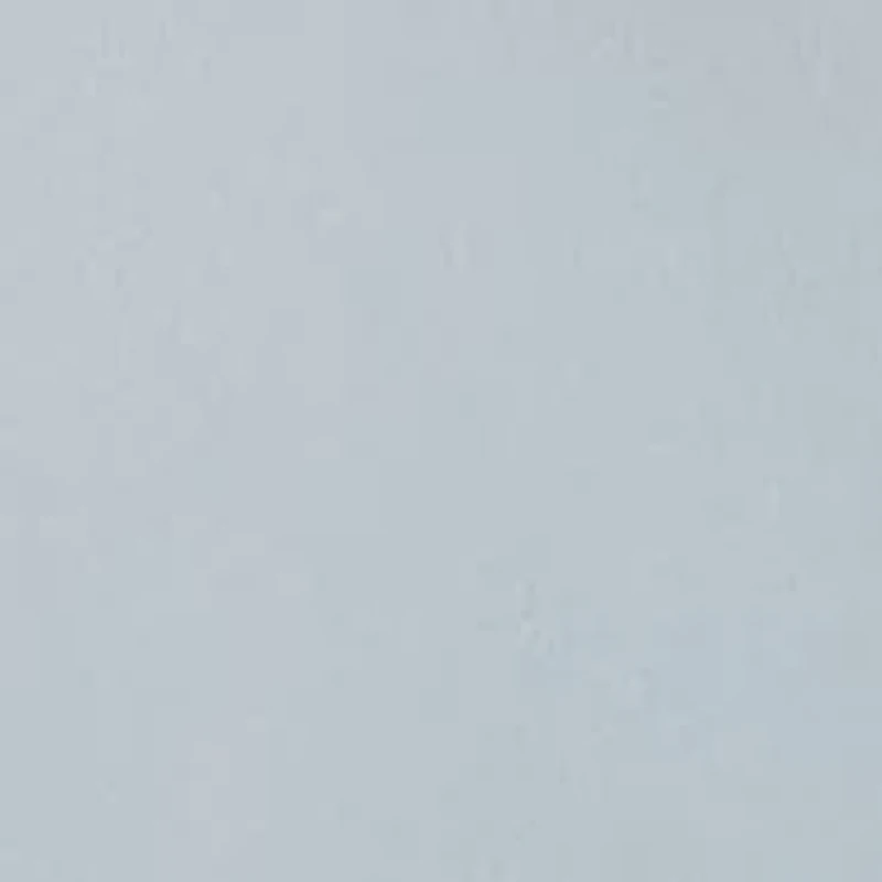 Union Amphibian 20 Shorts