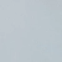 Union Amphibian 20 Shorts