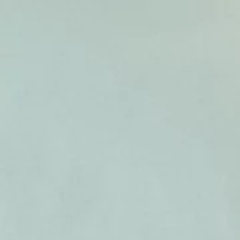 Men's The Wild Graphic Short Sleeve T-Shirt