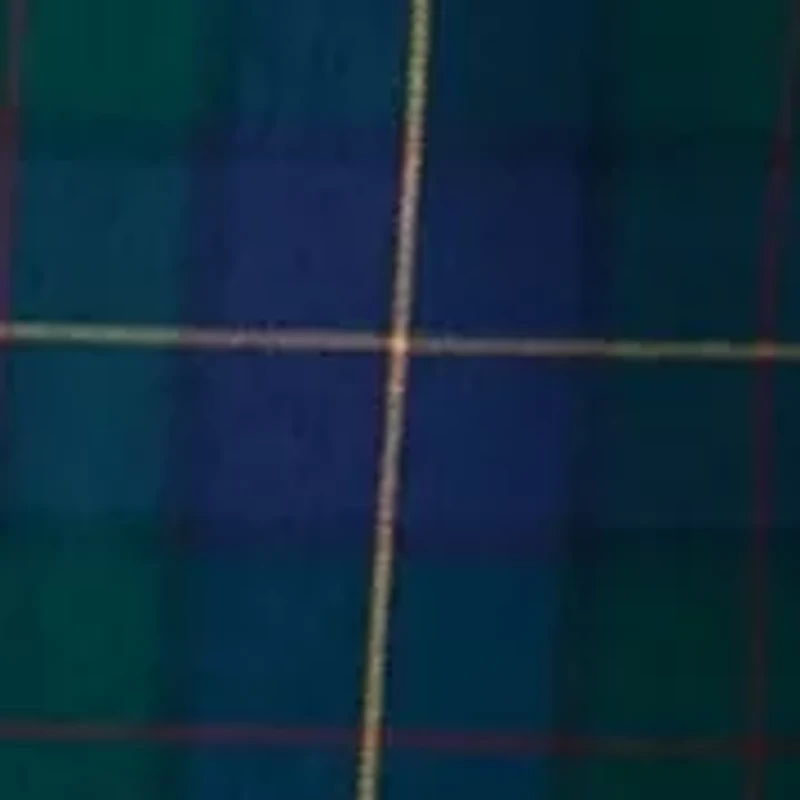 Long Sleeve Twill Plaid Shirt