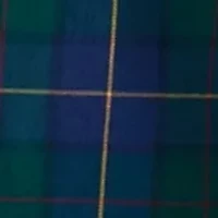 Long Sleeve Twill Plaid Shirt
