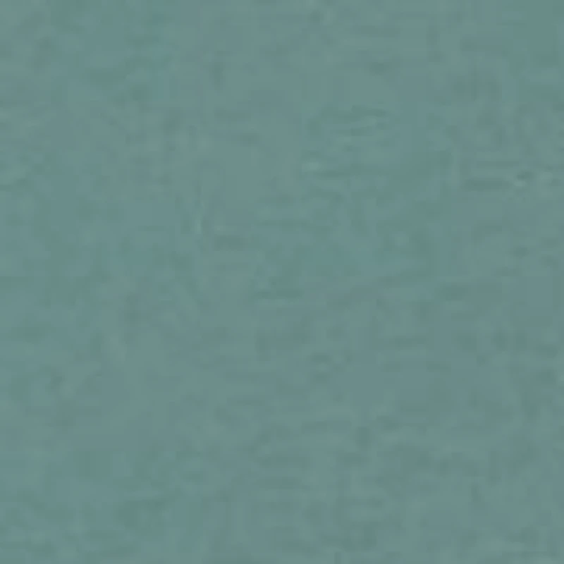 Men's Gator License Plate Graphic T-Shirt