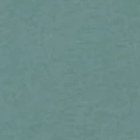 Men's Gator License Plate Graphic T-Shirt