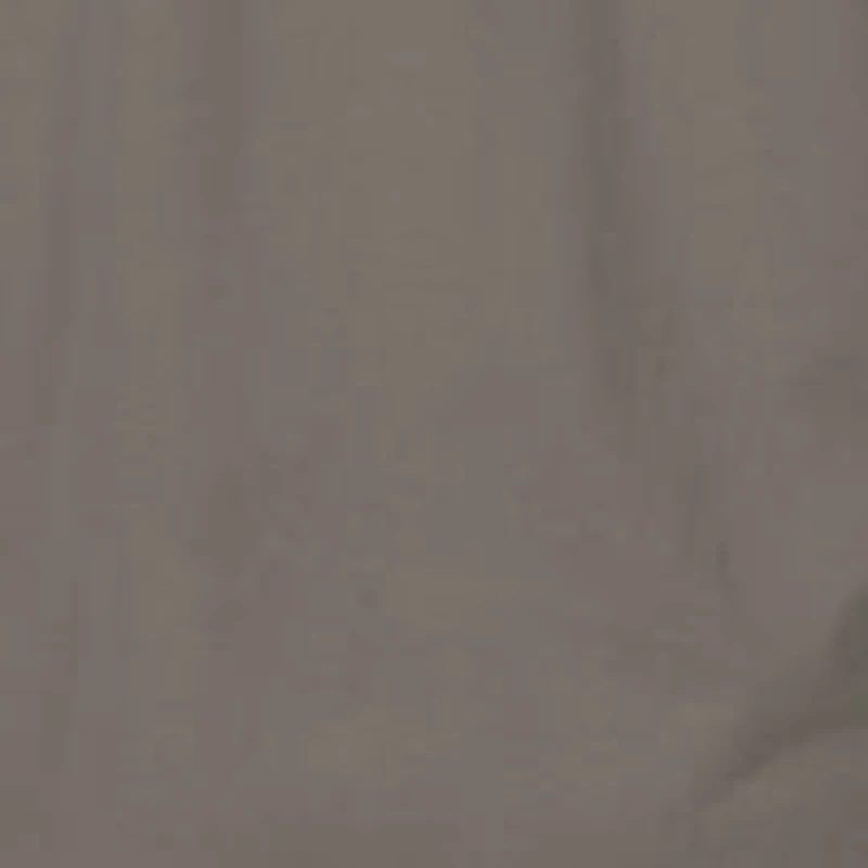 Men's Wood Gator Graphic T-Shirt