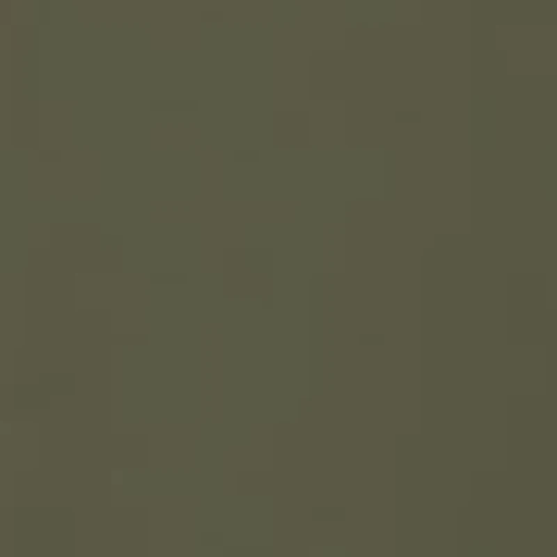 Men's Duck Hunting Graphic T-Shirt