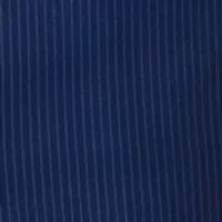 Stripe Suit Separate Pants