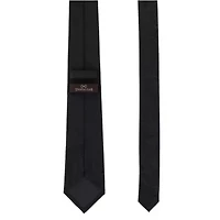 Big and Tall Banbury Tone on Paisley Silk Necktie