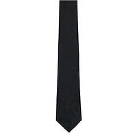 Big and Tall Banbury Tone on Paisley Silk Necktie