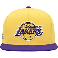 NBA Gold/Purple Los Angeles Lakers Side Core 2.0 Snapback Hat