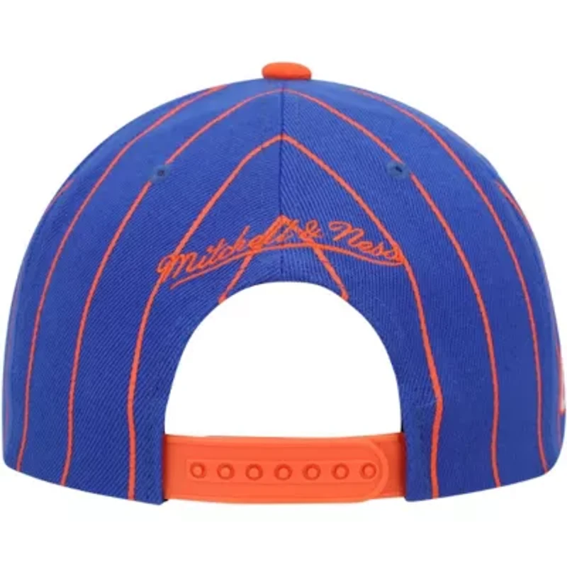 NCAA Florida Gators Team Pinstripe Snapback Hat