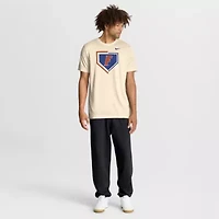 NCAA Nike Florida Gators Primetime Baseball Icon Legend Dri-FIT T-Shirt