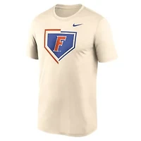 NCAA Nike Florida Gators Primetime Baseball Icon Legend Dri-FIT T-Shirt