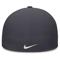 MLB Nike Detroit Tigers Dri-FIT True Fitted Hat