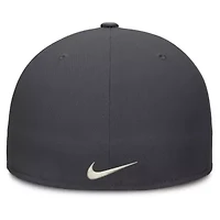 MLB Nike Atlanta Braves Dri-FIT True Fitted Hat