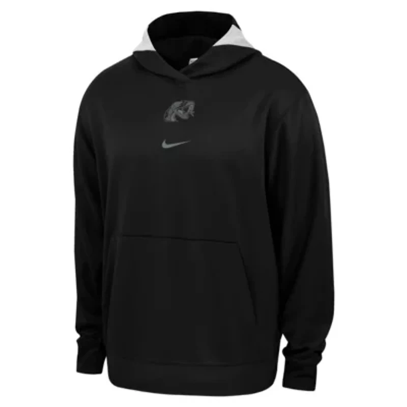 NCAA Nike Florida A&M Rattlers Basketball Spotlight Performance Pullover Hoodie
